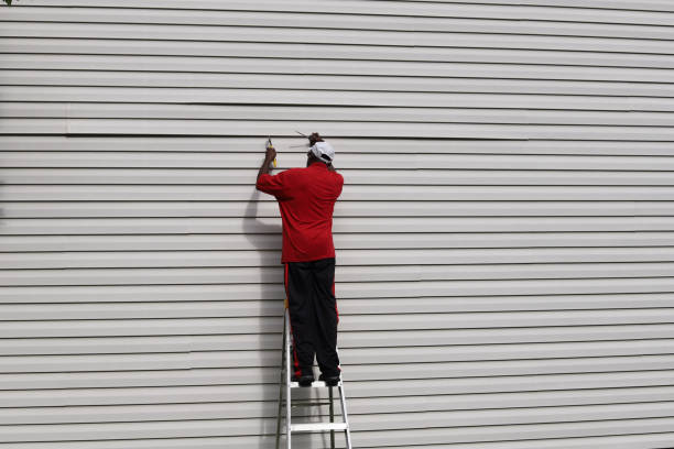Best Fascia and Soffit Installation  in Fair Plain, MI