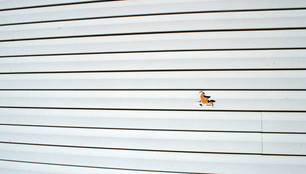 Best Engineered Wood Siding  in Fair Plain, MI
