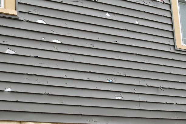 Best Weatherproofing and Sealing  in Fair Plain, MI
